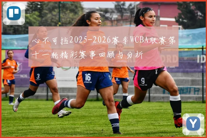 心不可挡2025-2026赛季WCBA联赛第十一轮精彩赛事回顾与分析